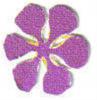 plais (Large).jpg